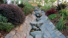 Singing Stones