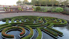Water Garden