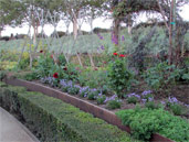 Botanical Garden